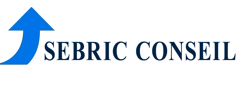 SEBRIC CONSEIL